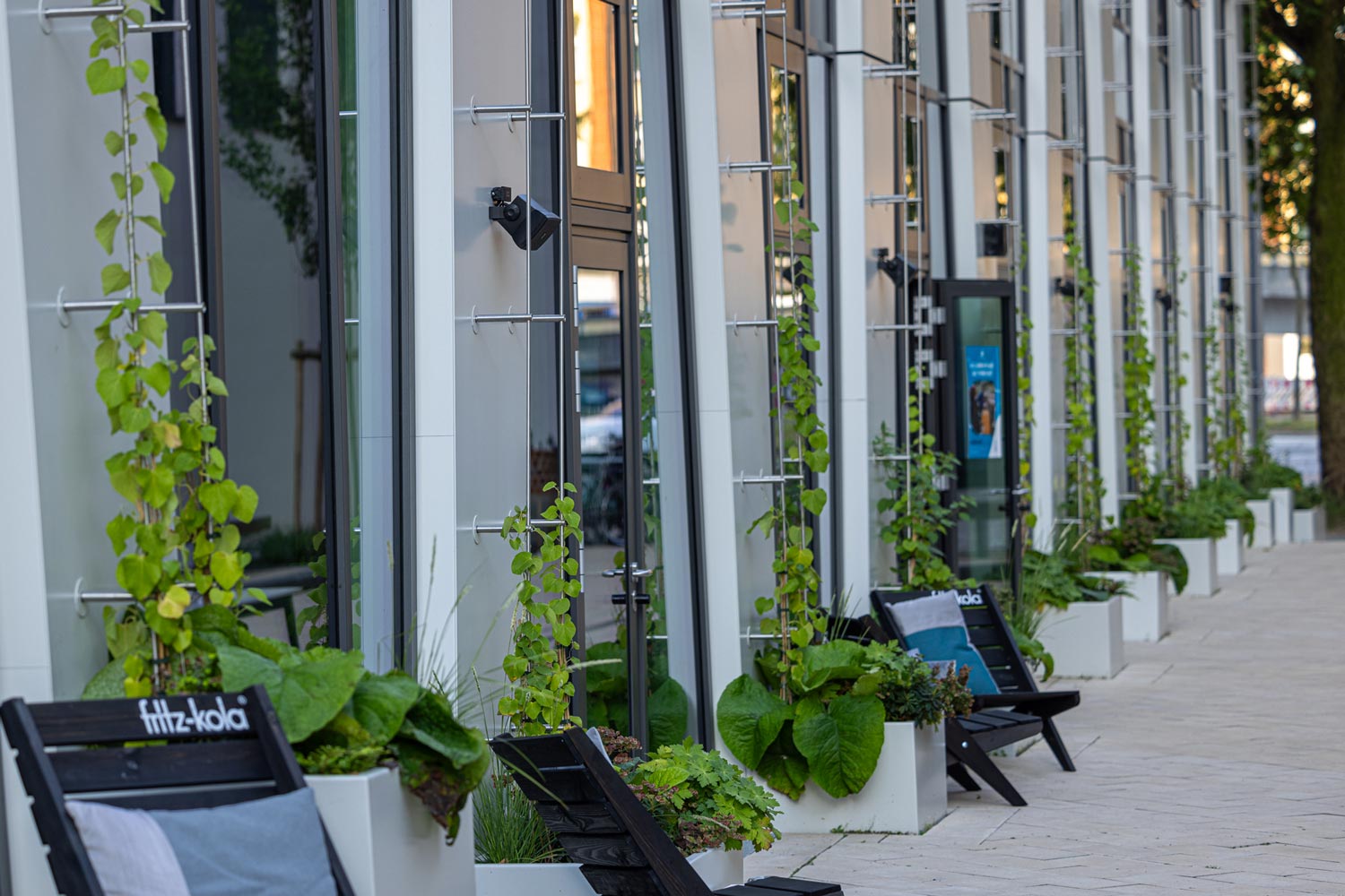 Begruenen-Gartenbau-Oerten-Galabau-0045