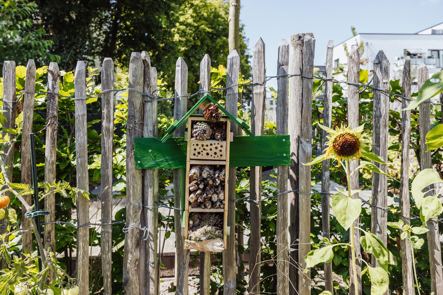 Begruenen-Gartenbau-Oerten-Galabau-0859